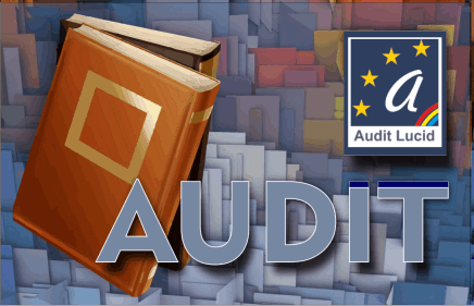 Audit Financiar Suceava